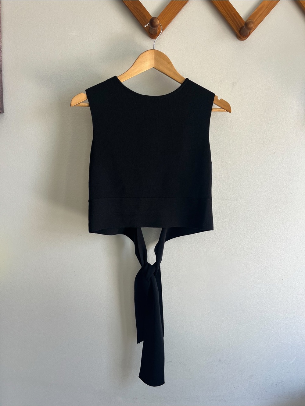 wild fable Black Tie-Back Crop Tank